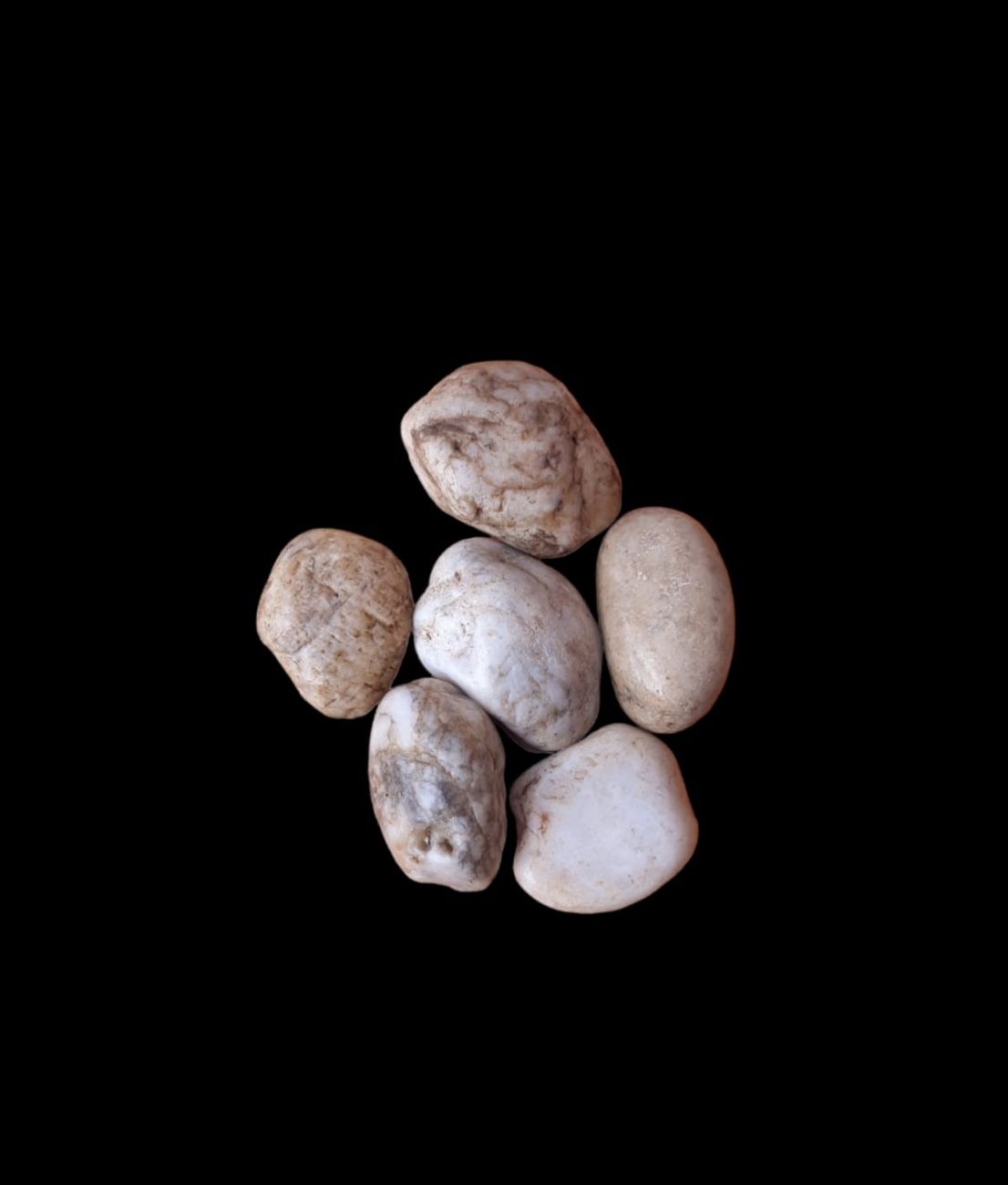 GRAVILLA BLANCA TIPO MANDARINA